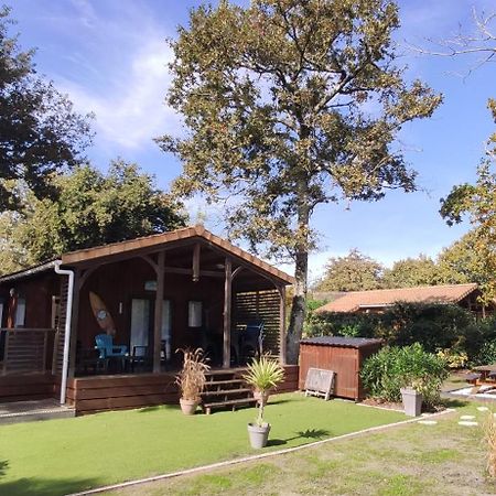 Chalet Prestige Au Coeur Du Bassin D'Arcachon Ла-Тест-де-Бюш Екстер'єр фото