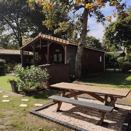 Chalet Prestige Au Coeur Du Bassin D'Arcachon Ла-Тест-де-Бюш Екстер'єр фото